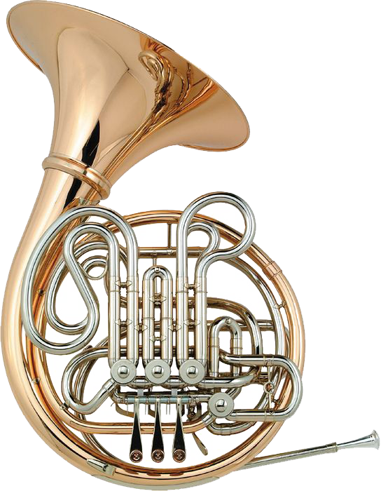 tramo consumidor limpiar Holton French Horn - $4349.00